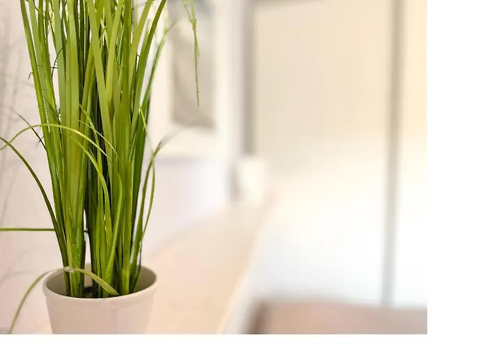 Goosbrink 13 * بولتينهاجين